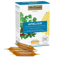 apielixir-memorie-si-concentrare-20-fiole-x-10-ml-albina-carpatina-6347.png