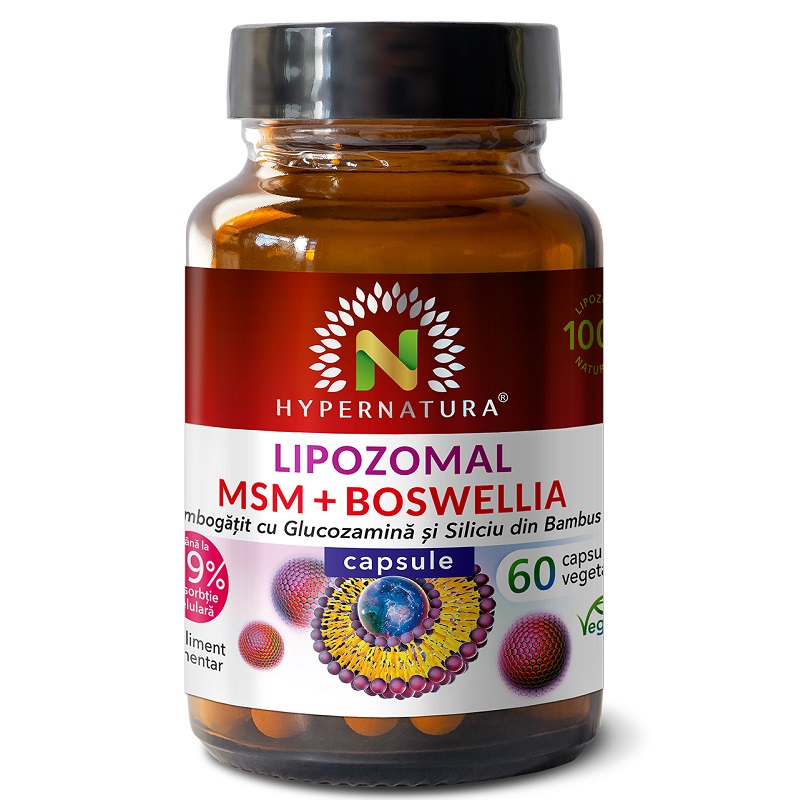 Lipozomal MSM + Boswellia, 60 capsule, Hypernatura