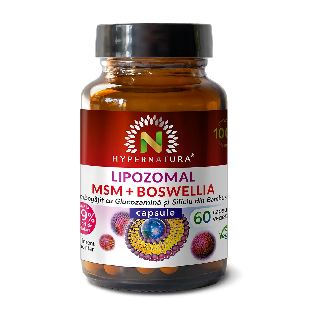 Lipozomal MSM + Boswellia, 60 capsule, Hypernatura