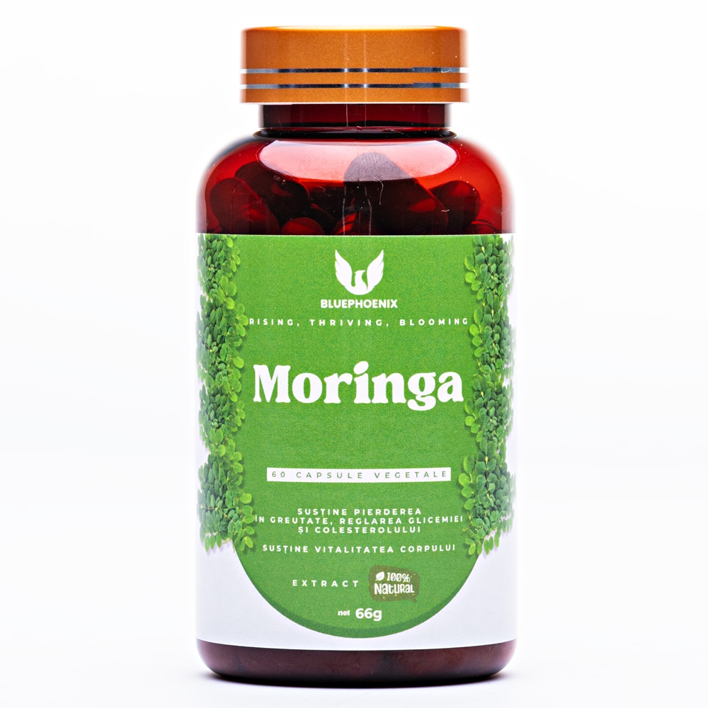 Moringa, 1000 mg, 60 capsule, Blue Pheonix
