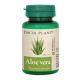 Aloe Vera, 60 comprimate, Dacia Plant 593694