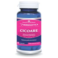 cicoare-extract-30-capsule-herbagetica-2620.jpg