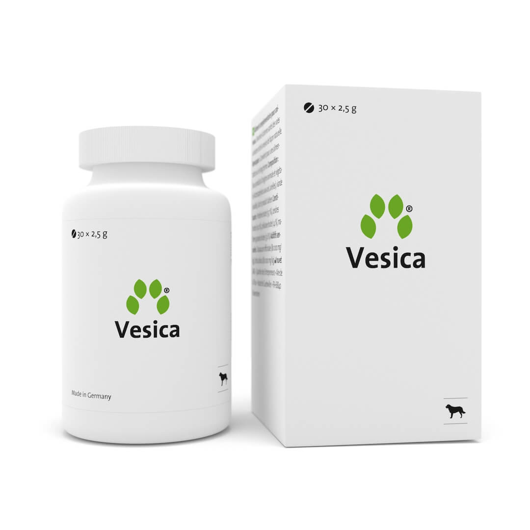 Vesica, 30 tablete