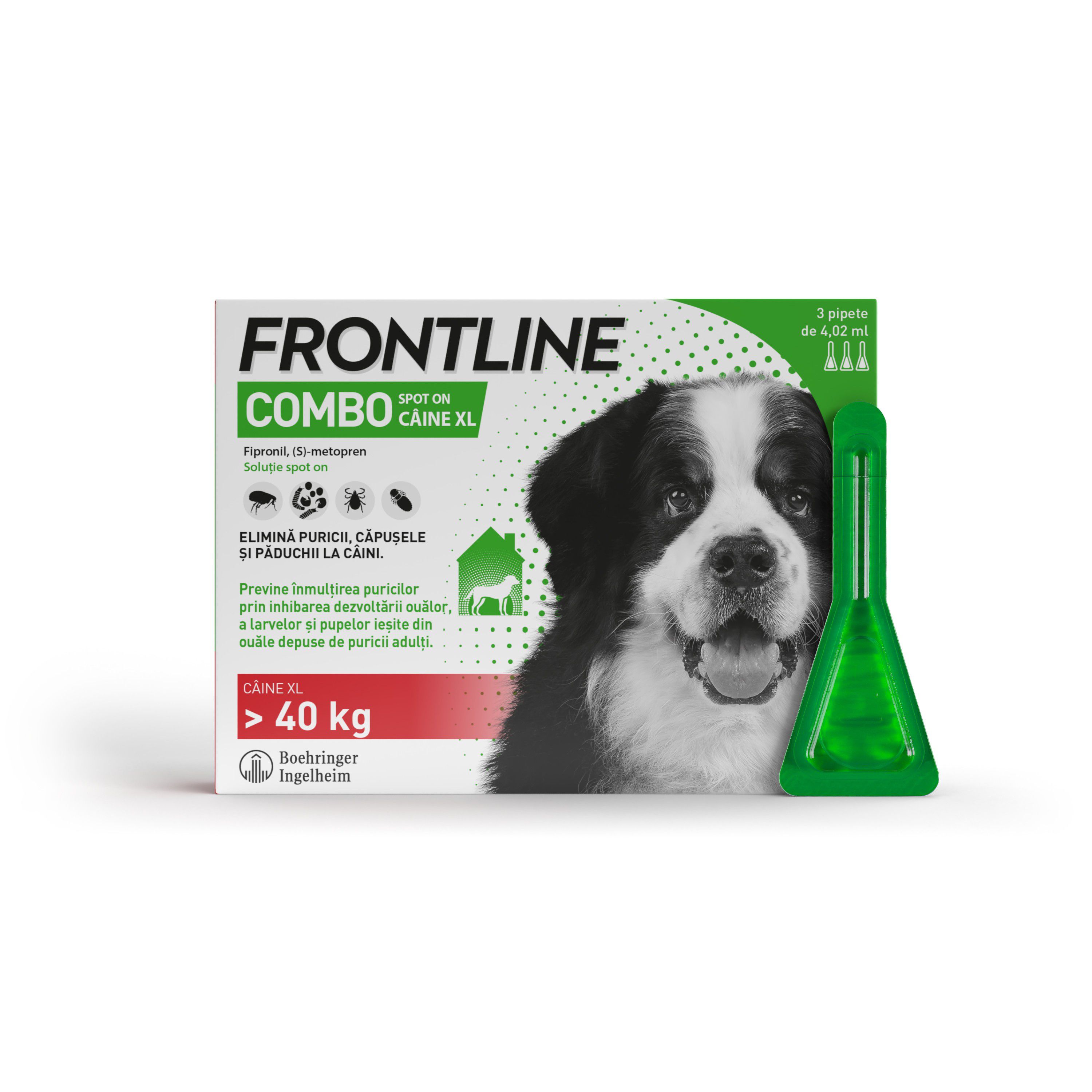Frontline Combo Spot On câine XL – pipetă verde de 4,05 ml, 3 pipete, Frontline