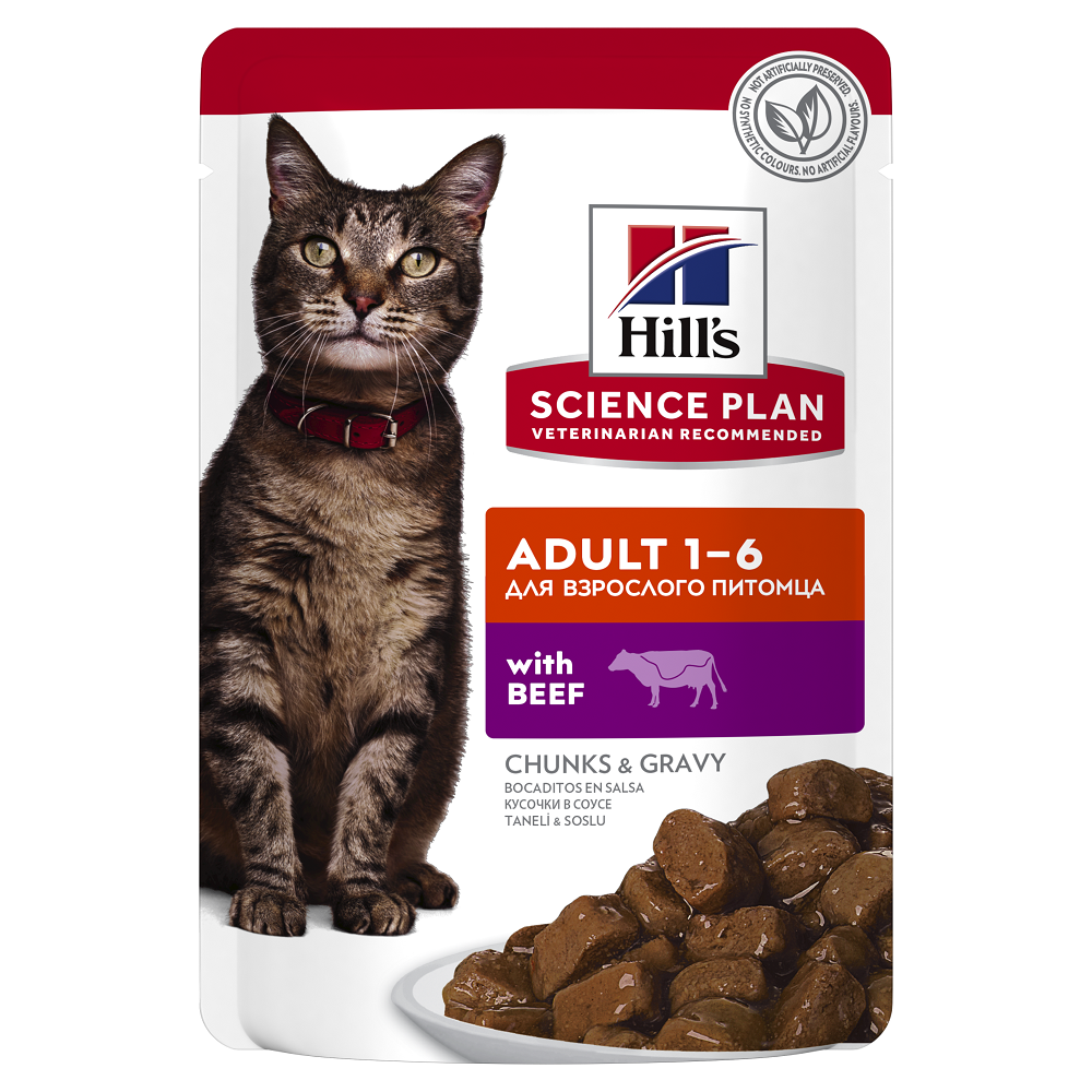 Hrana cu vita pentru pisici Adult 1-6 SP, 85 g, Hill’s
