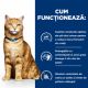 Hrana cu pui pentru pisici c/d Urinary Care, 400 g, Hill's PD 562996