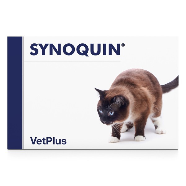 Tratament pentru pisici Synoquin Cat, 30 capsule, VetPlus