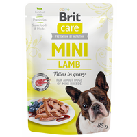 hrana-umeda-cu-miel-pentru-caini-fillets-in-gravy-85-g-brit-6369.png