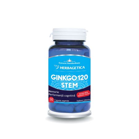 Ginkgo 120 Stem, 30 capsule, Herbagetica