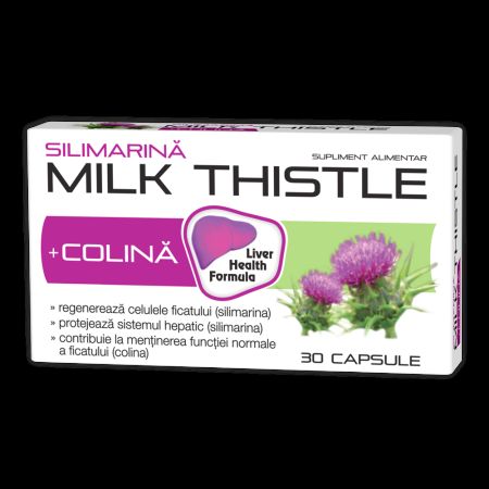Silimarina + Colina Milk Thistle, 1000 mg, 30 capsule, Zdrovit