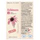Echinacea fara alcool, 50 ml, Dacia Plant 593372