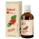 Extract natural de Paducel fara alcool, 50 ml, Dacia Plant 593387