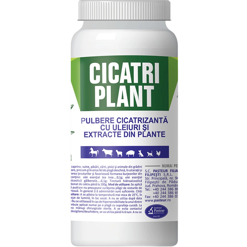 Pulbere cicatrizanta Cicatri Plant, 100 g, Pasteur