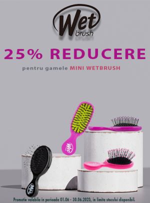 Wet Brush 25% Reducere Iunie