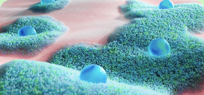 Intelli-Spores multiplicare