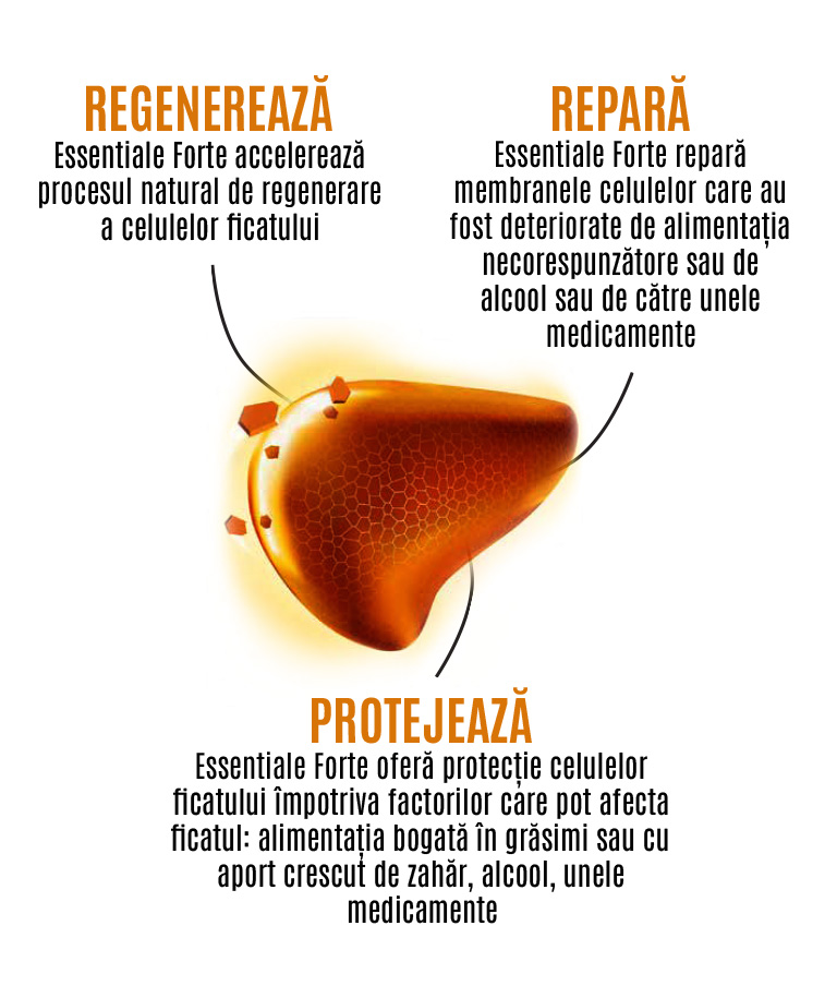 Regenerează, repară, protejează