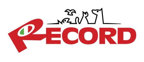 Record