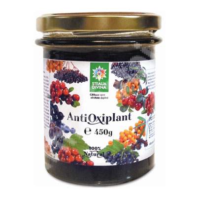 Antioxiplant in miere, 450 g, Steaua Divina