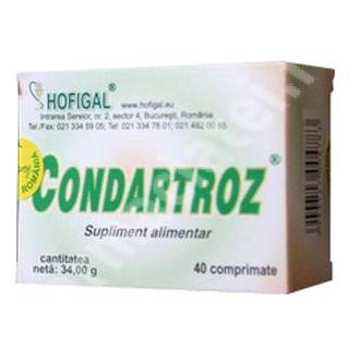 Condartroz, 60 comprimate, Hofigal