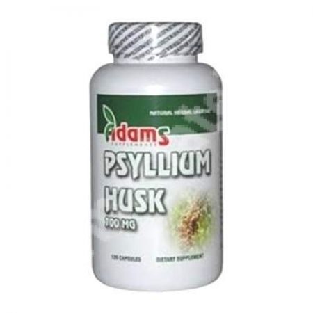 Psyllium Husk 700 mg, 60 capsule, Adams Vision