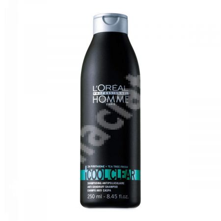 Sampon impotriva matretii Homme Cool Clear, 250 ml, Loreal Professionnel
