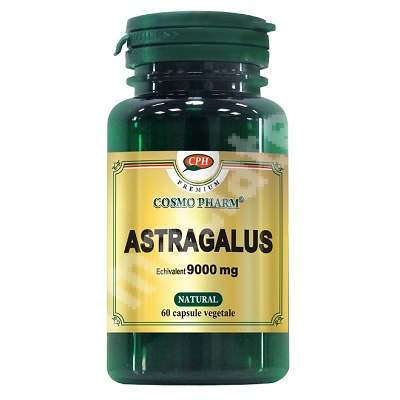Premium Astragalus extract, 60 capsule, Cosmopharm