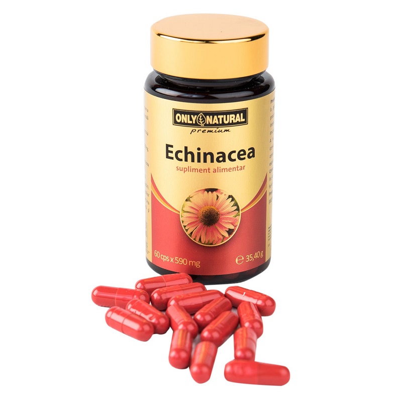 Echinacea 590mg, 60 capsule, Only Natural