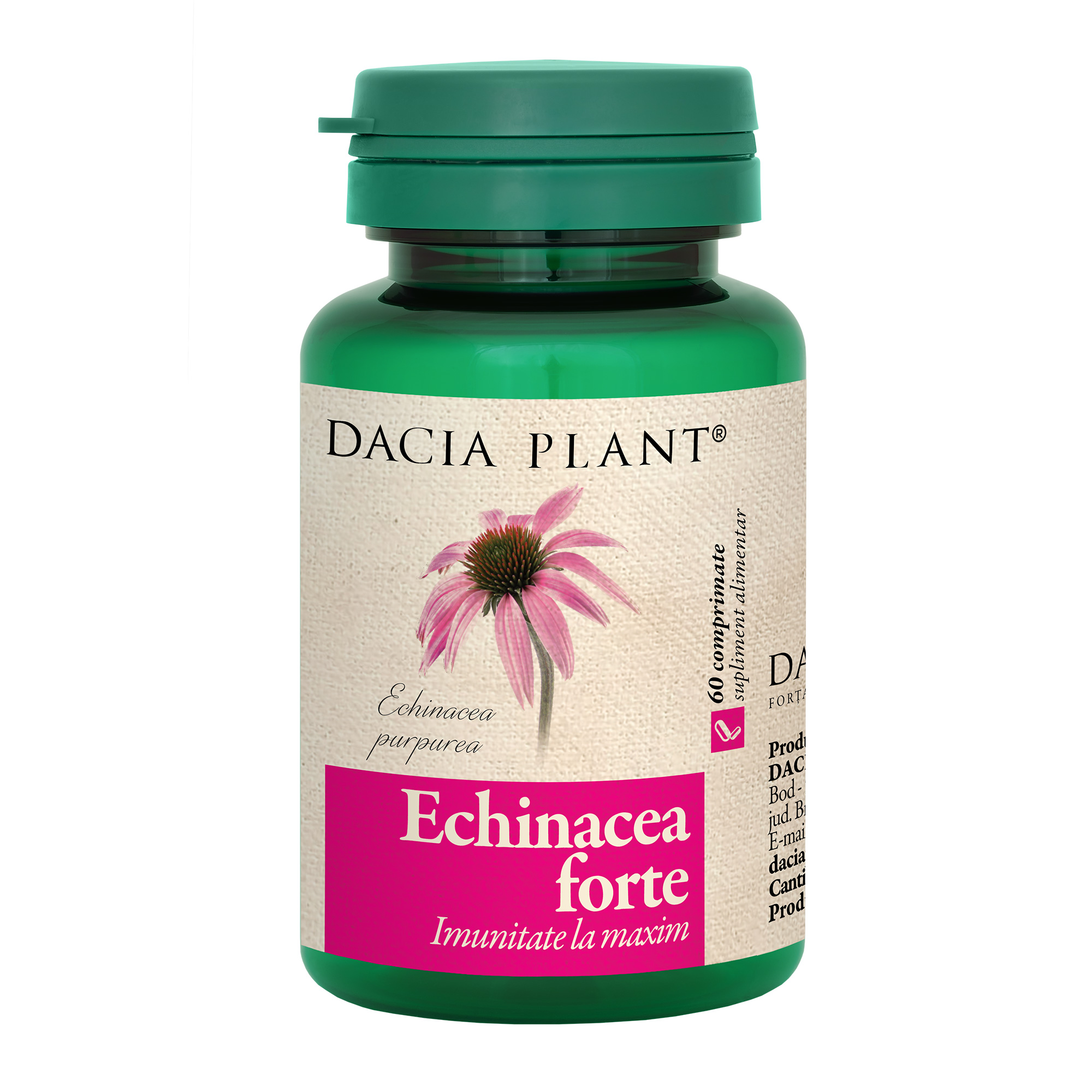 Echinacea forte, 60 comprimate, Dacia Plant