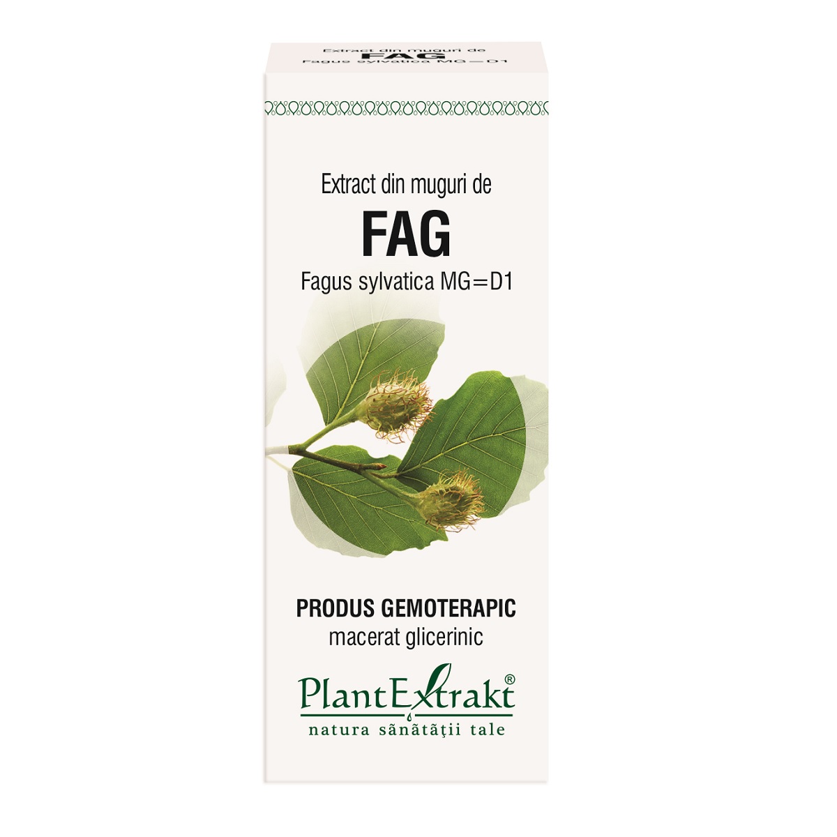 Extract din muguri de Fag, 50 ml, Plant Extrakt