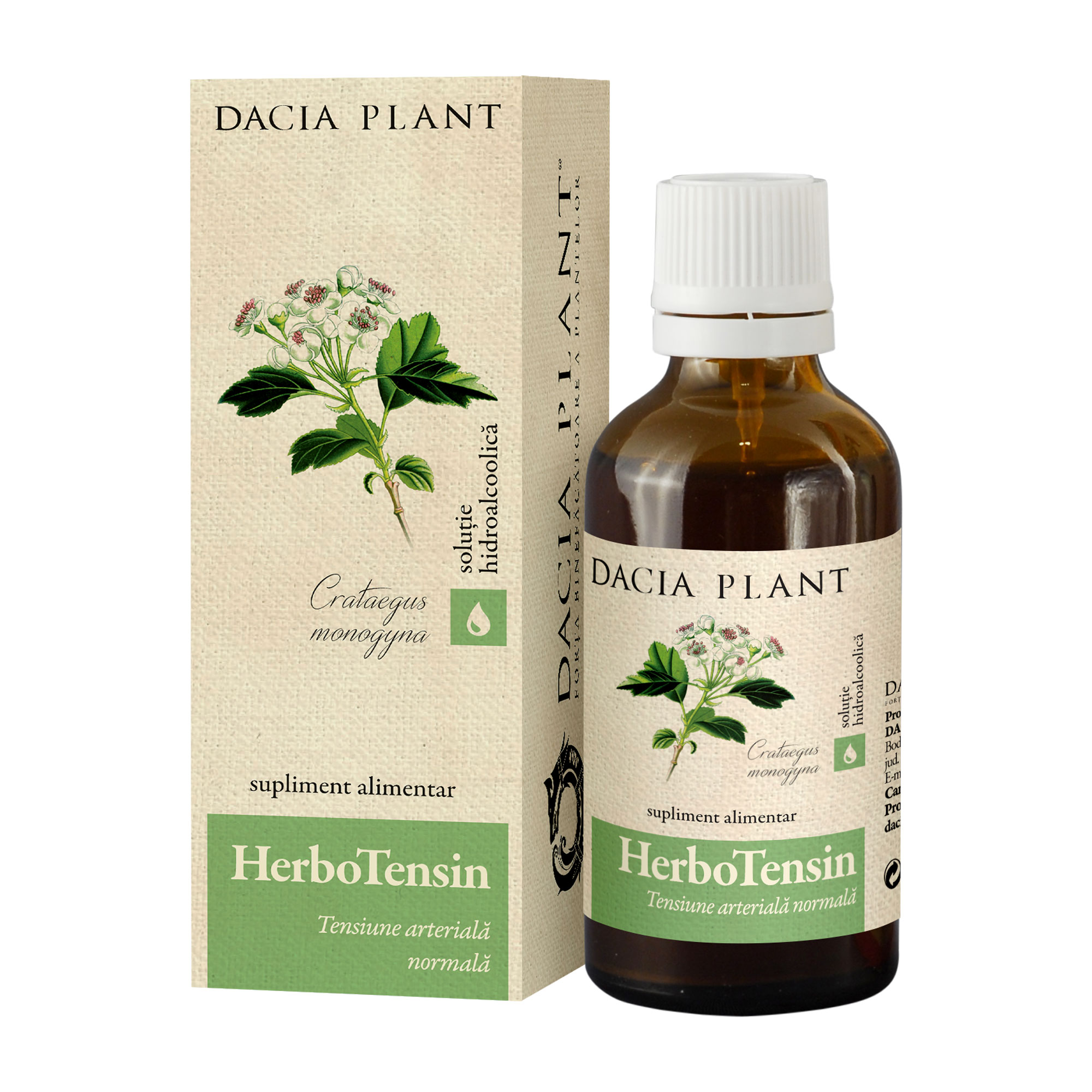 HerboTensin tinctura (Reglator al tensiunii), 50 ml, Dacia Plant