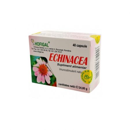 Echinacea, 40 capsule - Hofigal