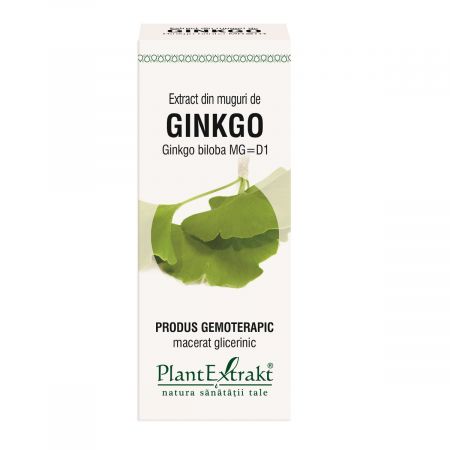 Extract din muguri de Ginkgo Biloba, 50 ml, Plant Extrakt