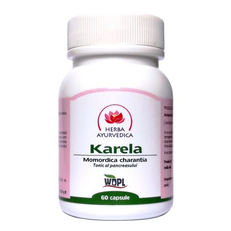 Karela,tonic al pancreasului, 60 capsule, Herba Ayurvedica