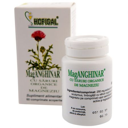 MagAnghinar, 60 comprimate - Hofigal