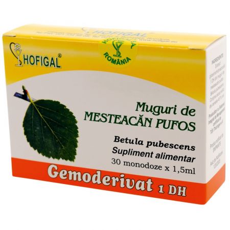Muguri de Mesteacan pufos Gemoderivat, 30 doze - Hofigal