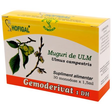 Muguri de Ulm Gemoderivat, 30 monodoze - Hofigal