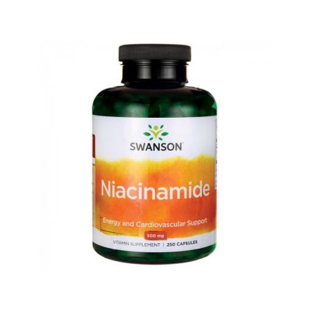 Niacinamide Vitamina B3 500mg, 250 capsule, Vitaking
