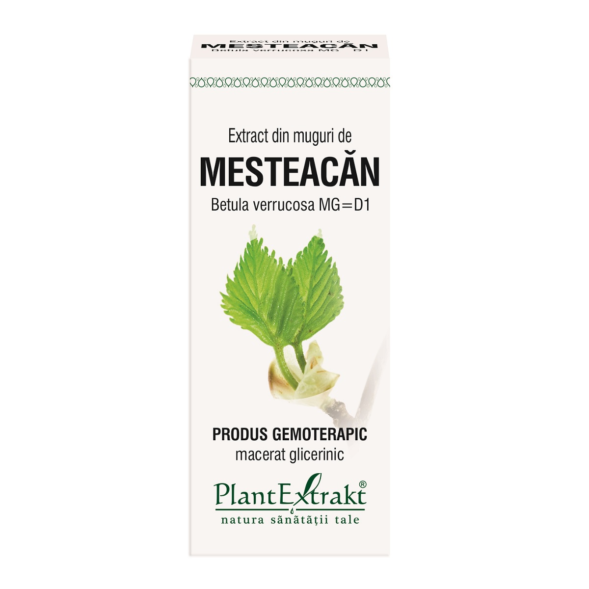 Extract din muguri de Mesteacan, 50 ml, Plant Extrakt
