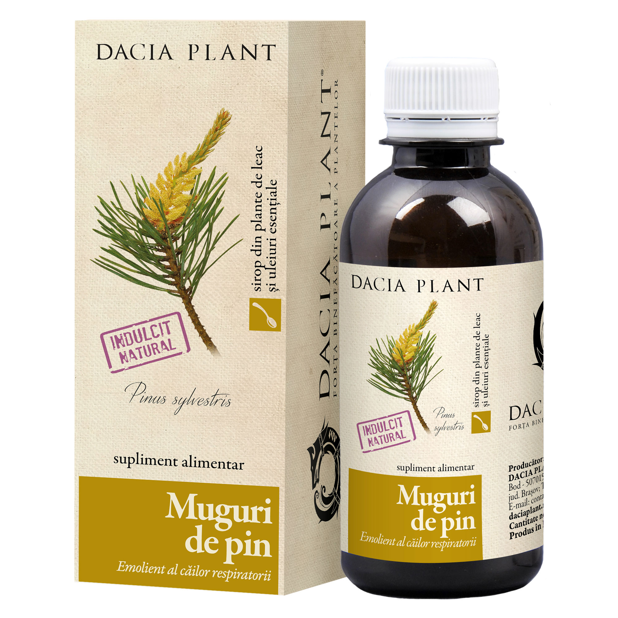 Ambiguity Body Hobart Sirop Muguri de Pin, 200 ml, Dacia Plant : Farmacia Tei online