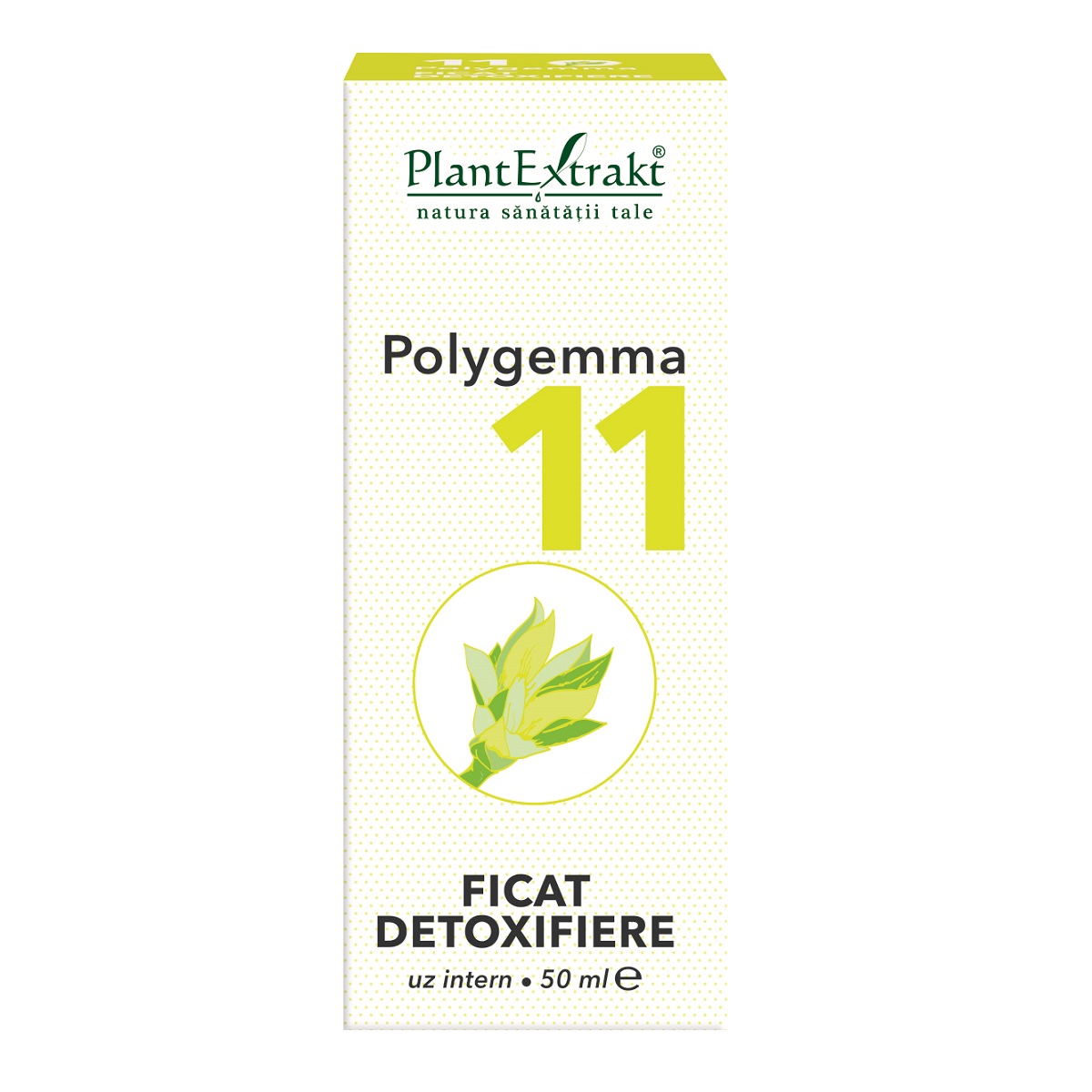 Polygemma 15 - Intestin detoxifiere 50ml, Plantextrakt