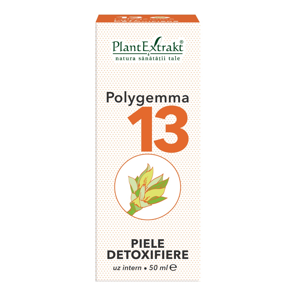 PlantExtrakt Polygemma nr. 13 Piele-Detoxifiere x 50 ml - Pret Avantajos | Minifarm