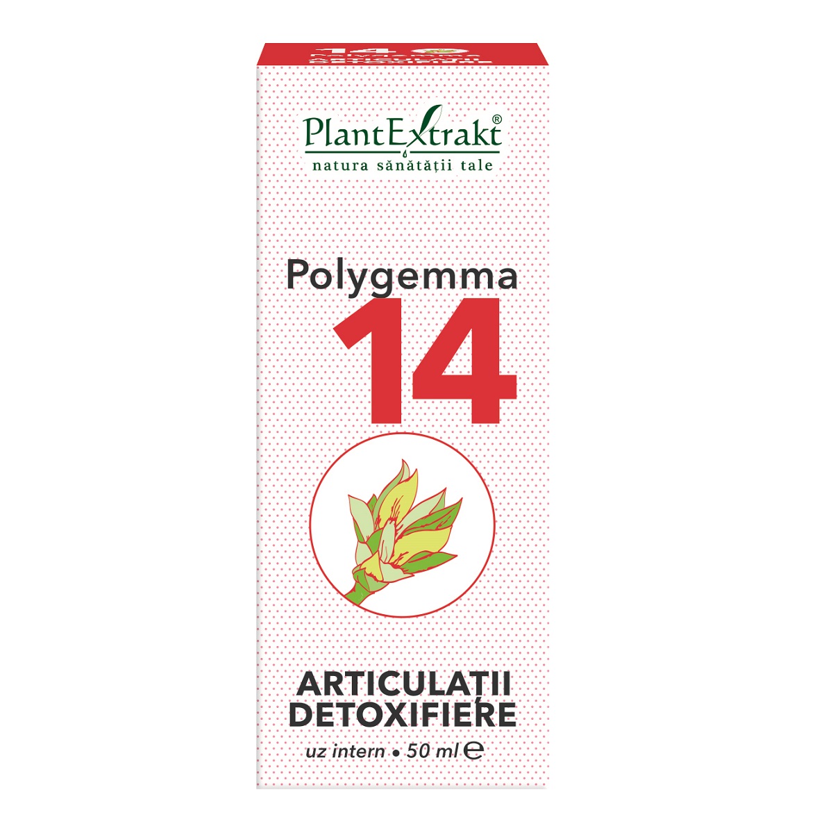 POLYGEMMA nr. 14 Articulatii – Detoxifiere, 50 ml | Catena | Preturi mici!