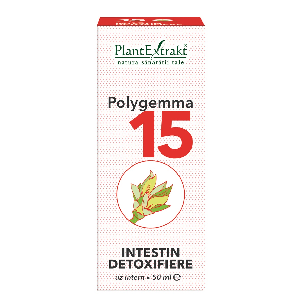Polygemma 15 - Intestin - PlantExtrakt, 50 ml (Detoxifiere) - nucleus-mc.ro