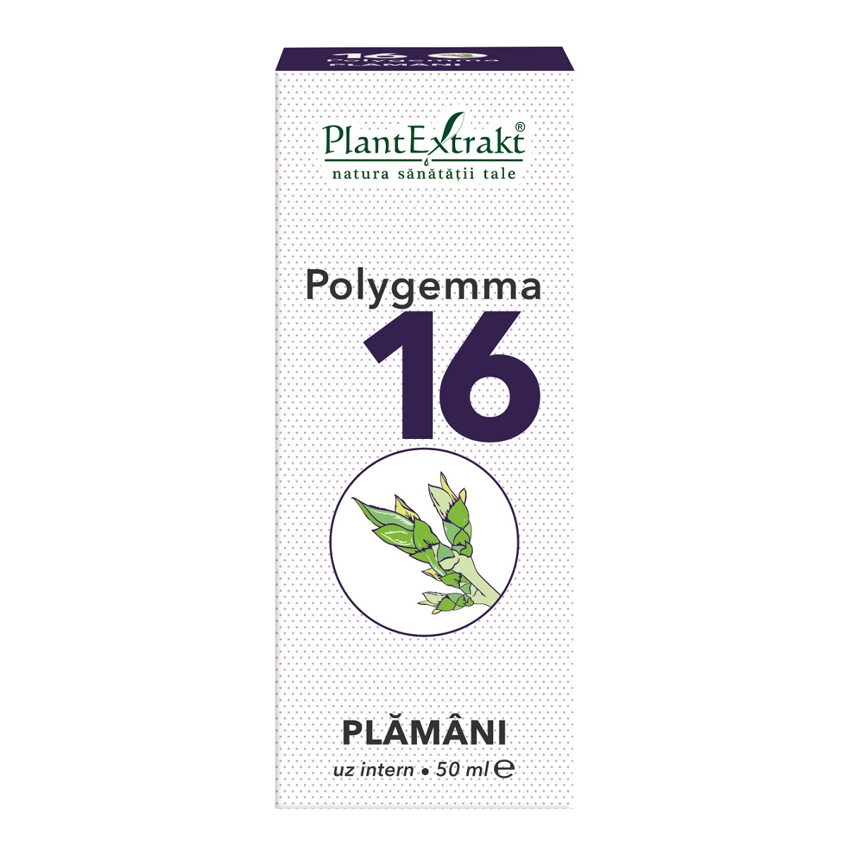 Polygemma 16 Plamani 50 ml