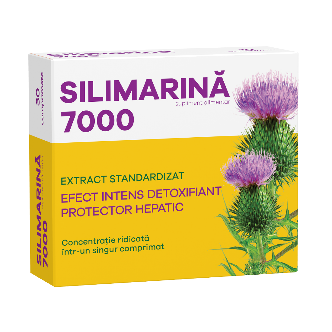 Secretele slabirii - Voi slabi - Lupta cu kilogramele: Silimarina -tratament pentru ficat