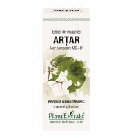 Extract din muguri de Artar, 50 ml, Plant Extrakt