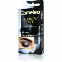 Crema coloranta pentru sprancene nuanta Black, 15 ml, Delia Cosmetics