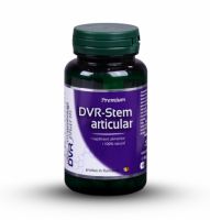 DVR-Stem Articular, 60 capsule, Dvr Pharm 