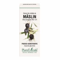 Extract din mladite de Maslin, 50 ml, Plant Extrakt