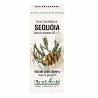Extract din mladite de Sequoia, 50 ml, Plant Extrakt